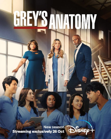 Disney+ Sets Launch Date For Season 19 Of “Grey’s Anatomy” In South ...